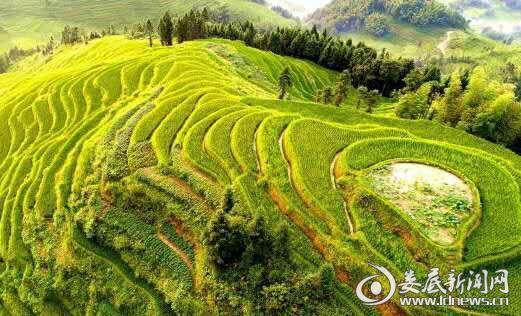 湖南卫视快乐购直播