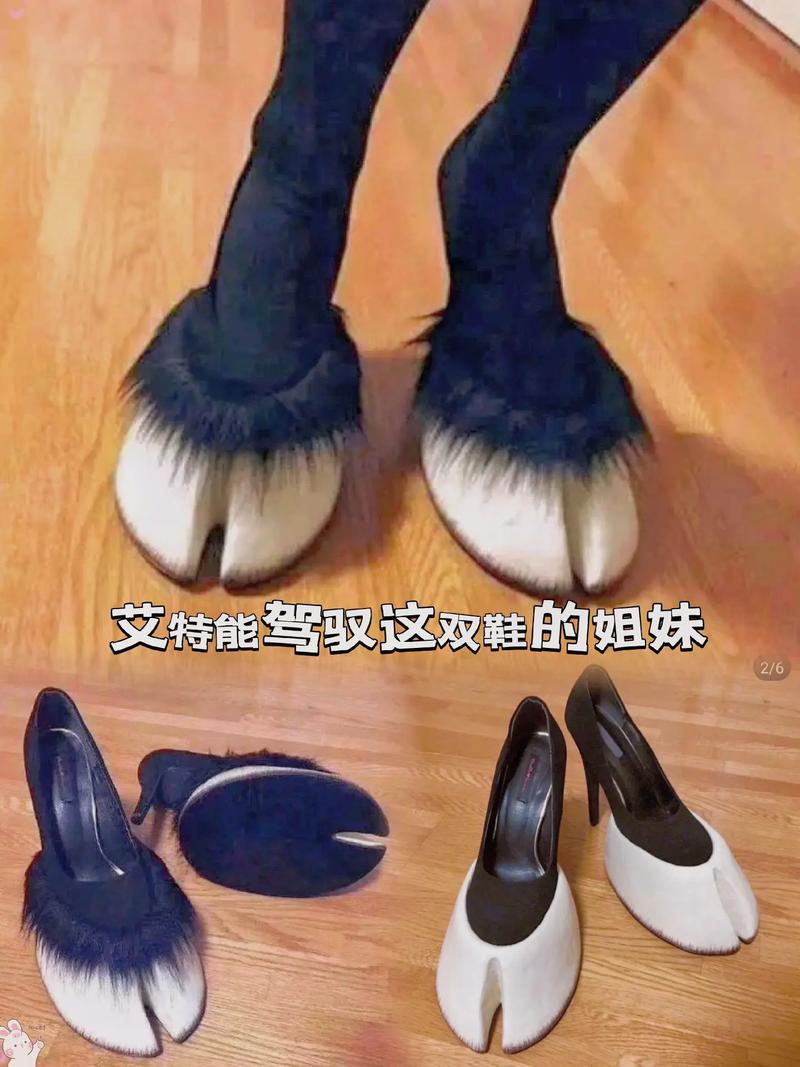 抖音俩人蹄鞋舞音乐