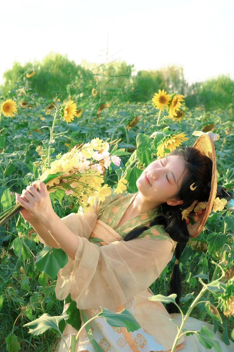 抖音太阳花是什么歌