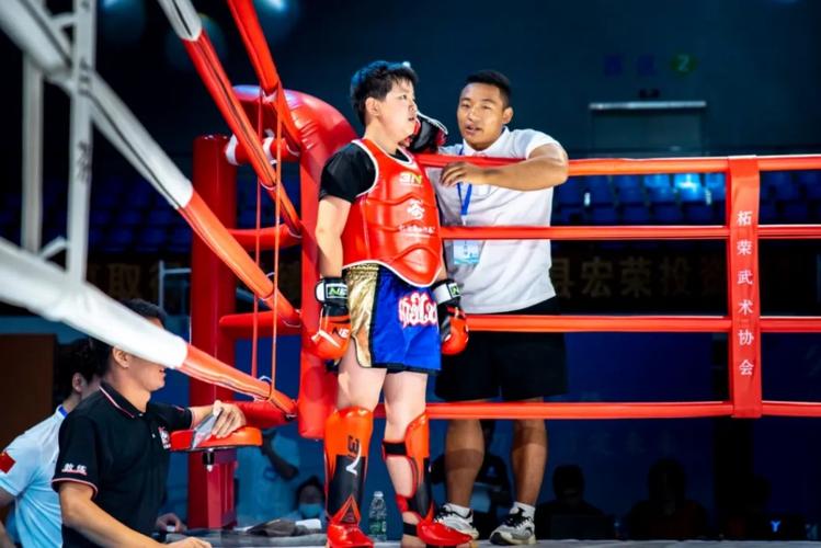 今日武林风在线直播