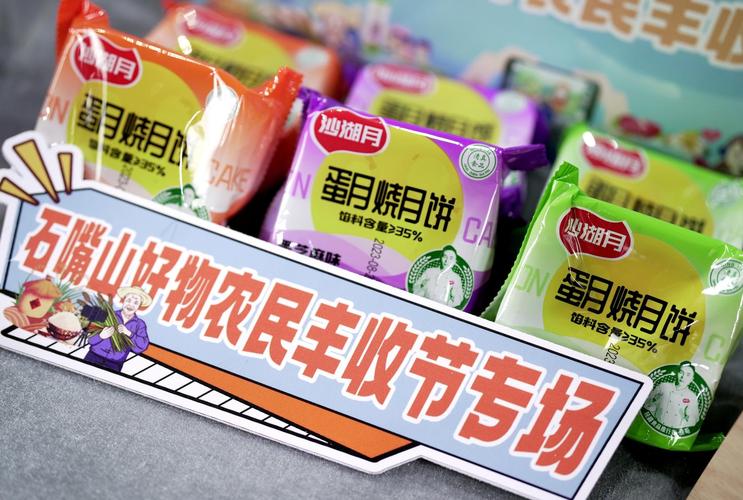 石嘴山综合频道直播