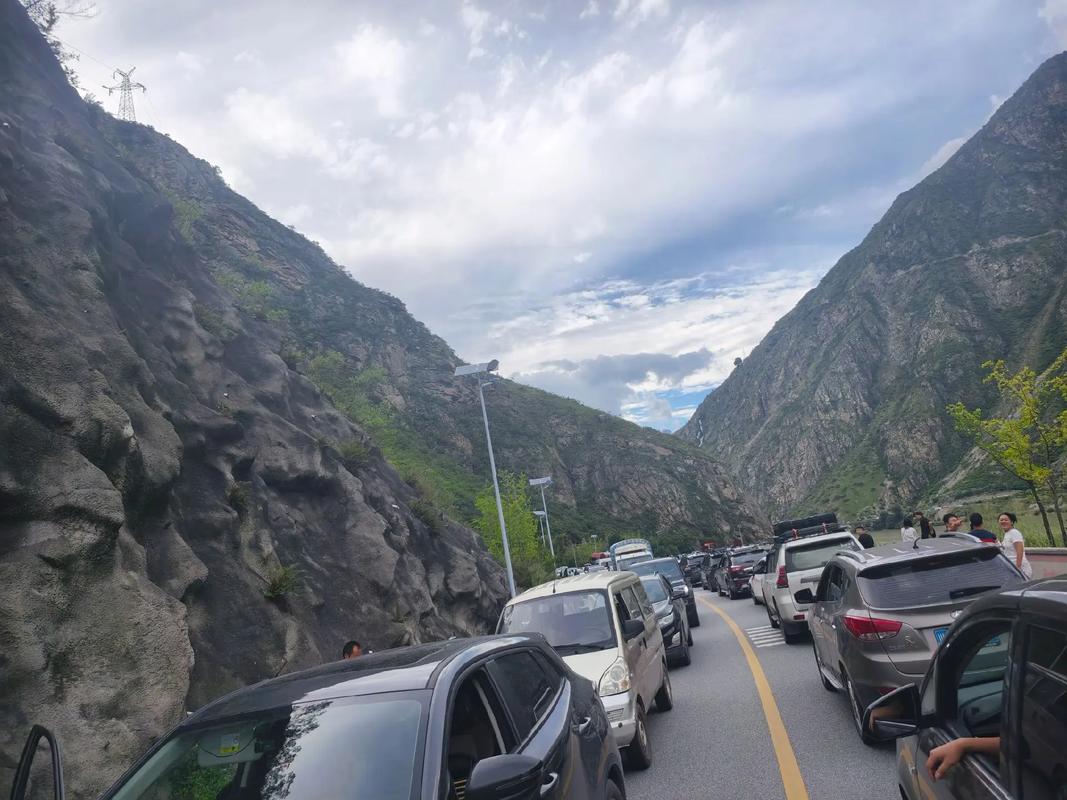 318最新路况直播