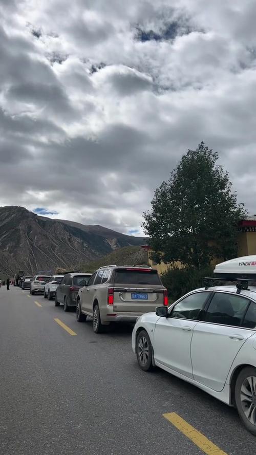 318最新路况直播