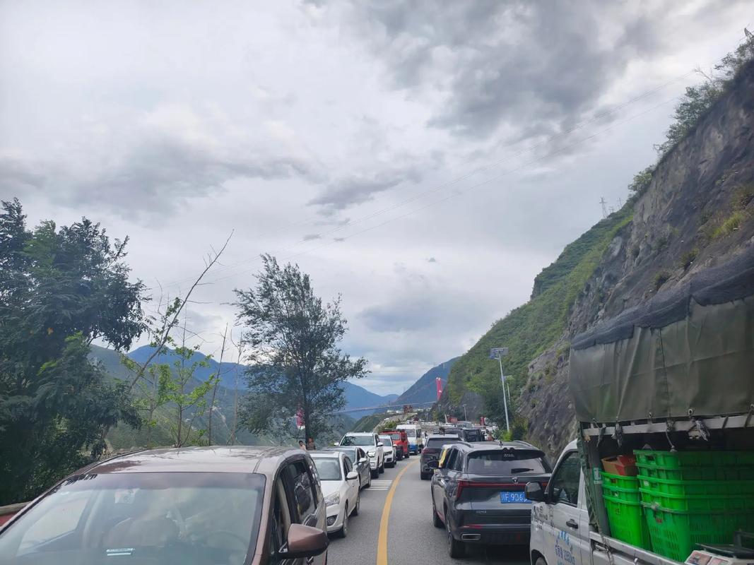 318最新路况直播