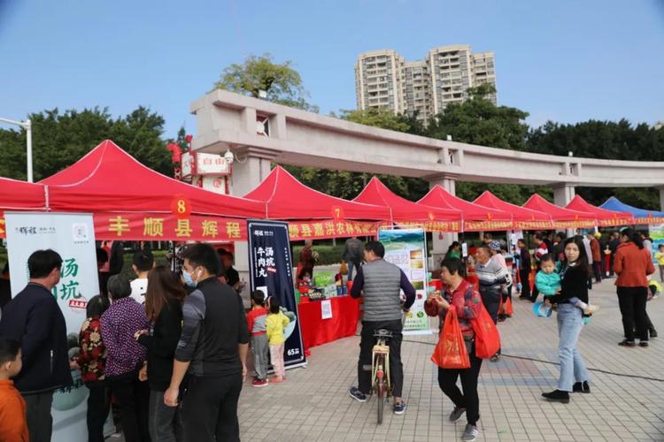 丰顺电视台在线直播