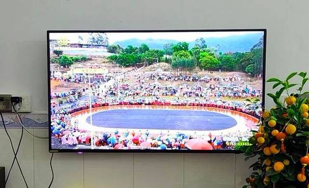 丰顺电视台在线直播