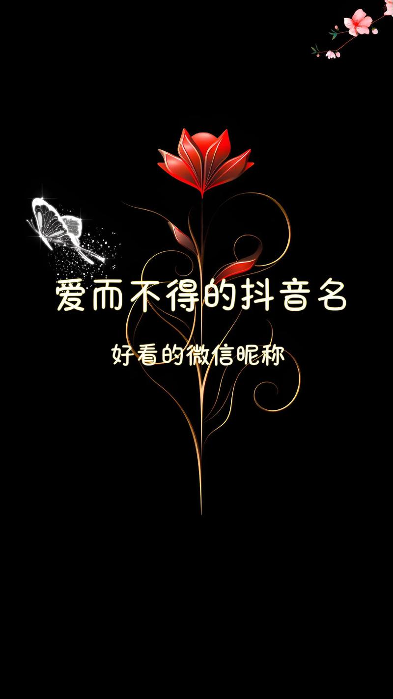 快手看不了别人喜欢