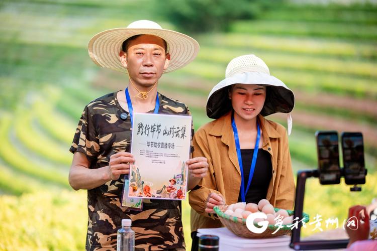 毕节电视台在线直播