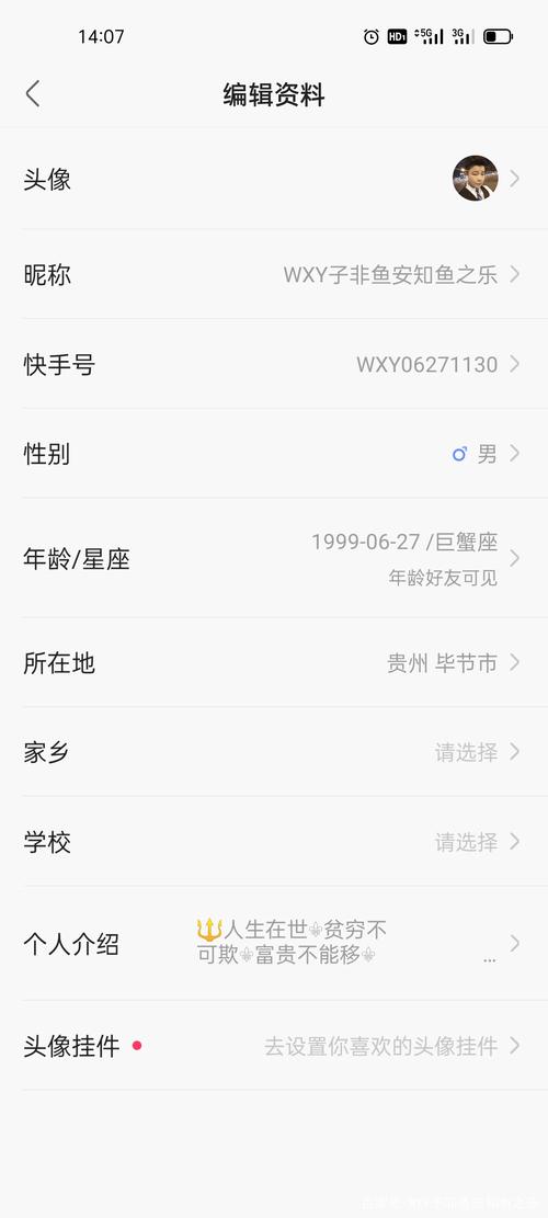 查快手数字id软件