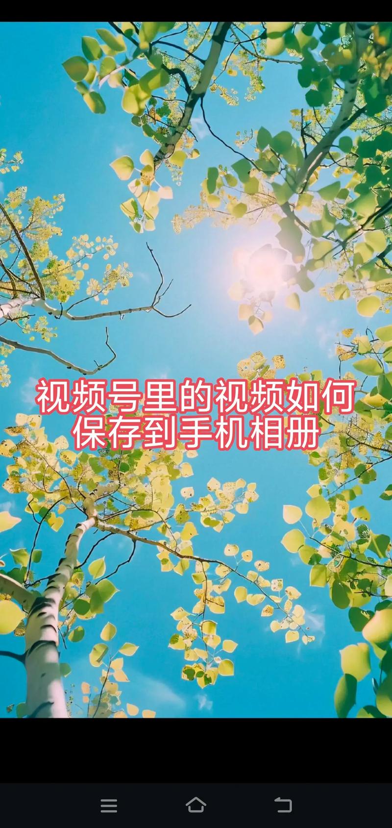 保存快手视频到手机