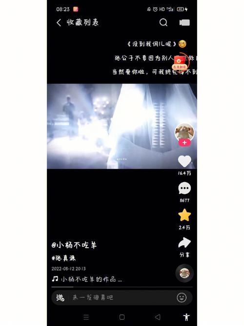 快手怎么录黑色视频