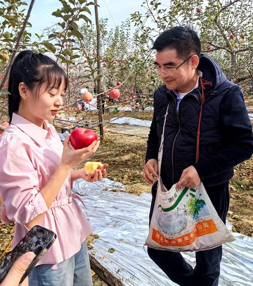 延安电视台一套直播