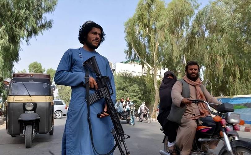 快手哈士奇向子弹飞