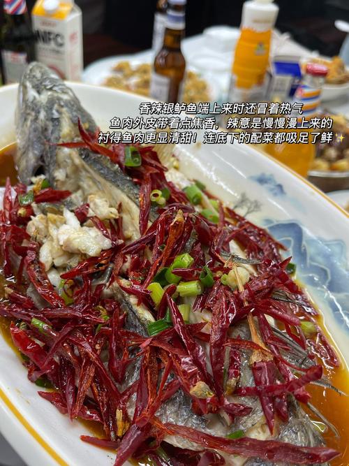 快手在海上渔船做饭