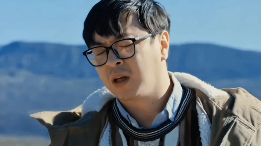 机智的大叔快手视频