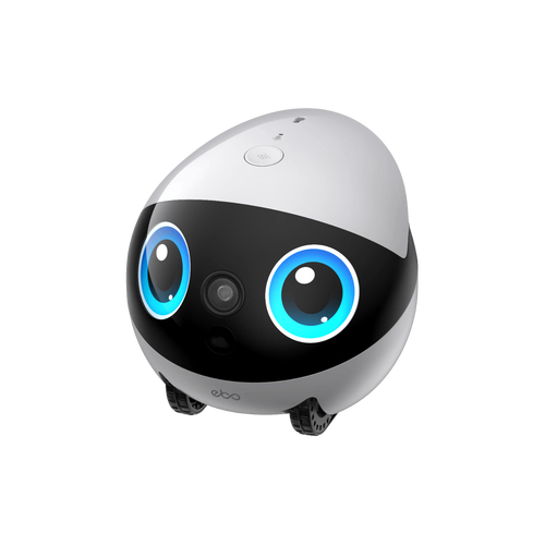 国外家庭摄像头直播