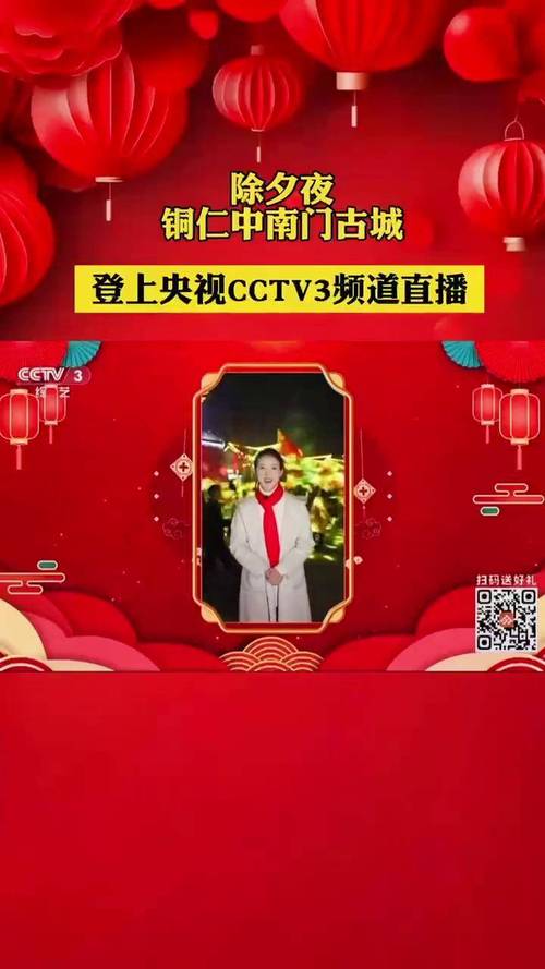 营口电视台在线直播