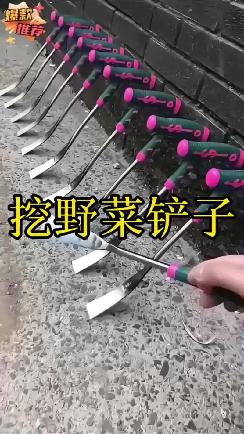 抖音沈阳网红小铁锹