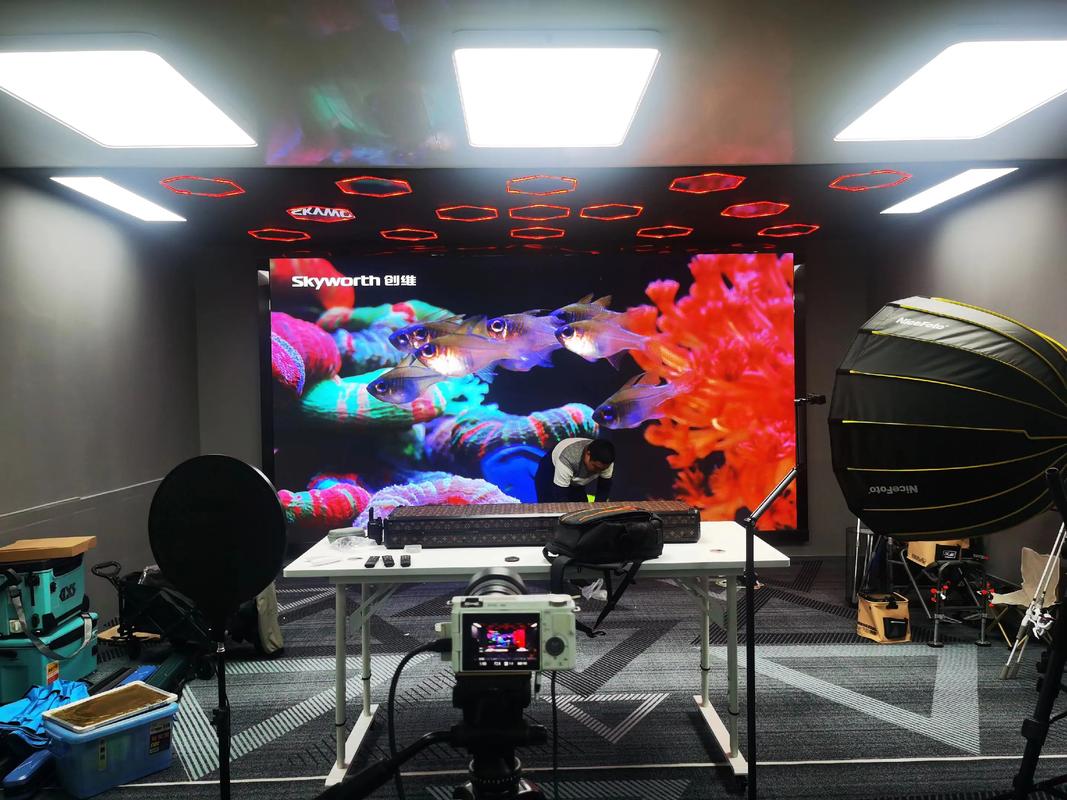 高清电视直播电脑版